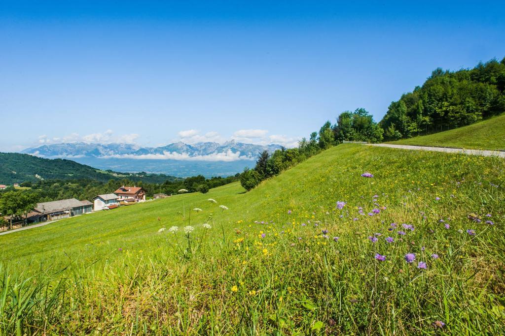 Agriturismo Fattoria Ortoalpino Trichiana Exterior foto