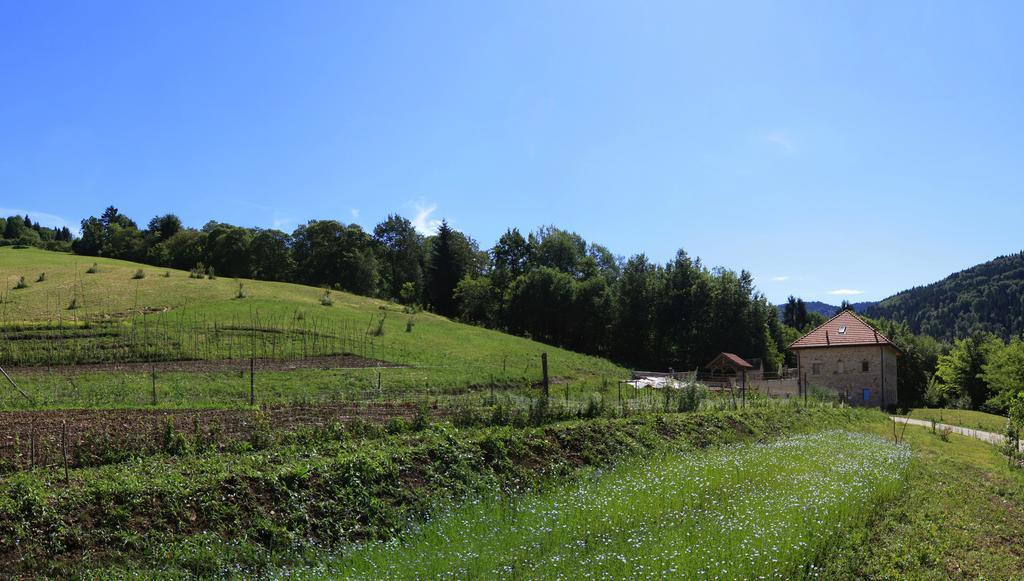 Agriturismo Fattoria Ortoalpino Trichiana Exterior foto